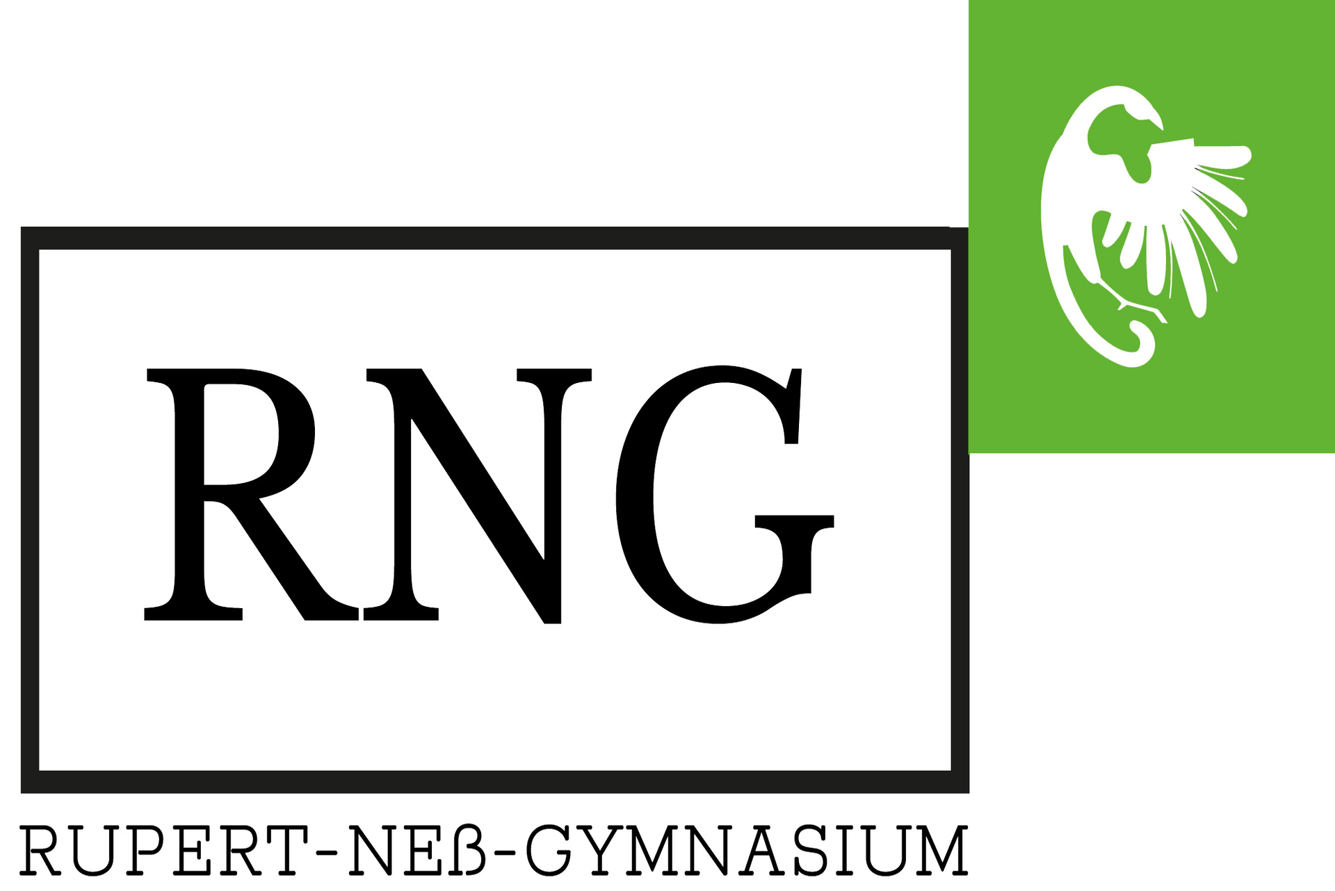Logo_RNG